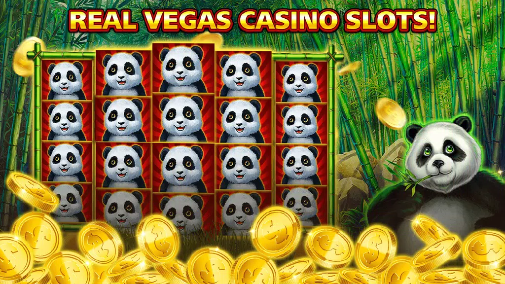 Casino Slots 2023 - Offline Screenshot4