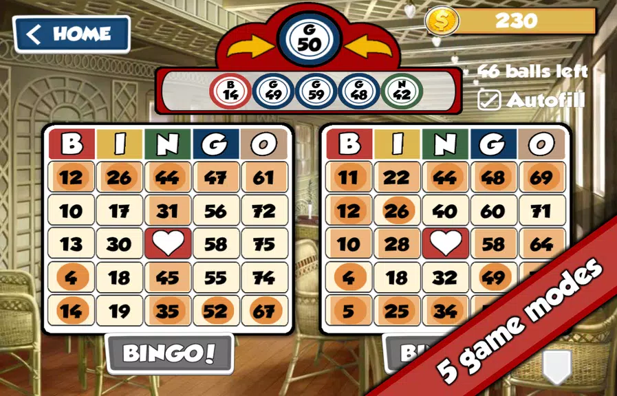 Total Bingo Screenshot2