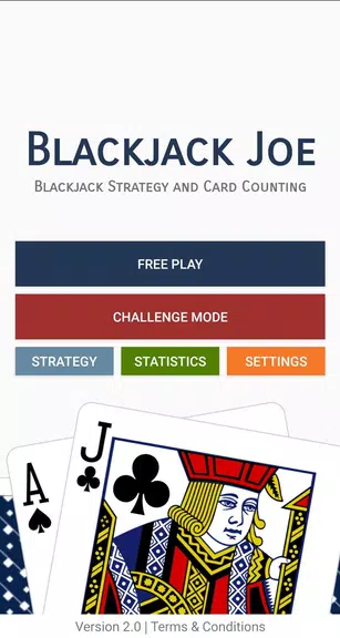 Blackjack Joe Strategy Trainer Screenshot1