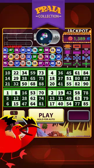 Jeri Video Bingo Screenshot1