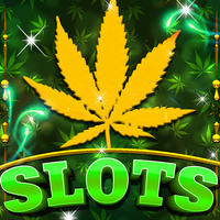 Kush Slots: Marijuana Casino,