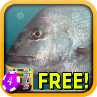 3D Snapper Slots - Free