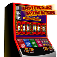 slots - Double Winner