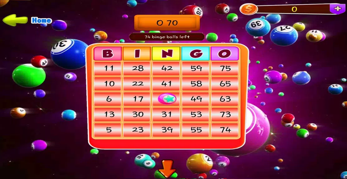 Bee Bingo Near Me Screenshot4