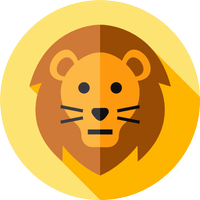 Lion vpn lite - private vpn