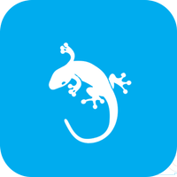 GeckoVPN - Free Unlimited VPN