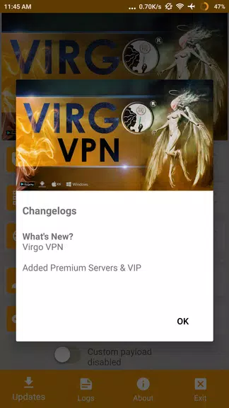 Virgo VPN Screenshot2