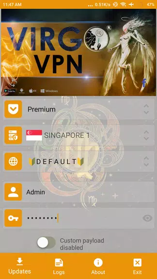 Virgo VPN Screenshot1