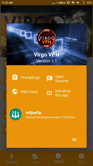 Virgo VPN Screenshot3