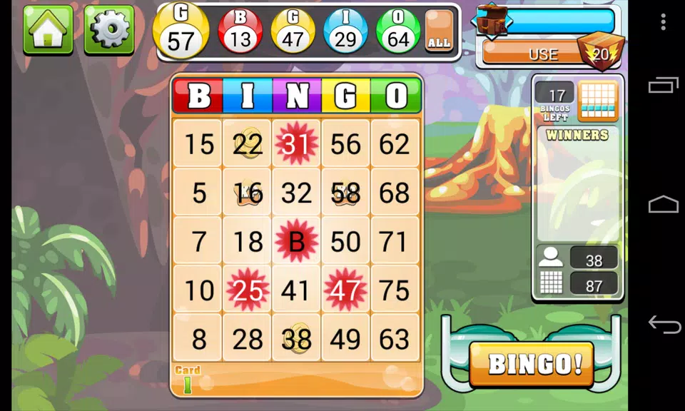 Bingo Casino - Free Vegas Casino Slot Bingo Game Screenshot3