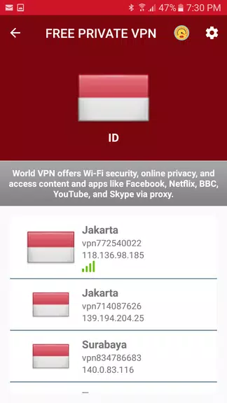 Indonesia Free VPN - vpn private internet access Screenshot1