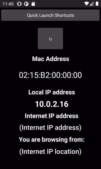 Network Scanner: LAN Scanner, IP info , VPN Status Screenshot4