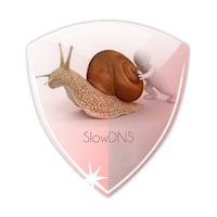 SlowDNS