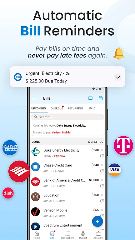 Bill Payment Organizer, Budget Screenshot3