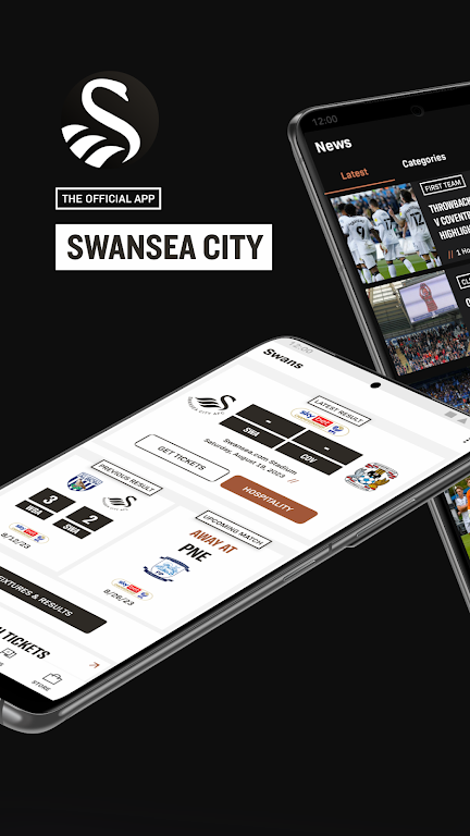 Swansea City Screenshot1