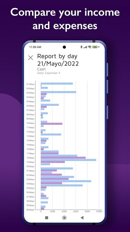 Daily Expenses 4 Screenshot2