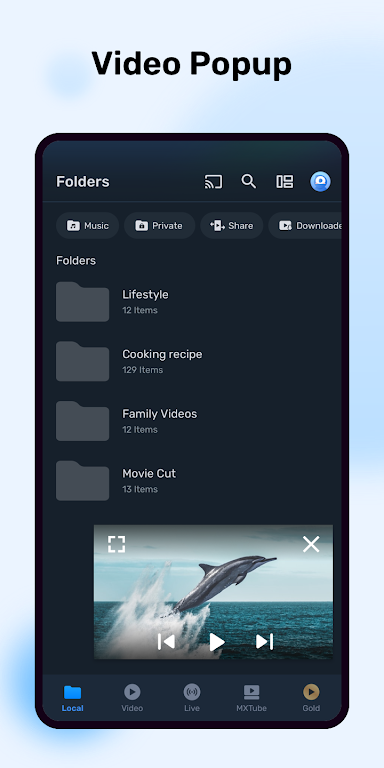 MX Player Pro Screenshot2