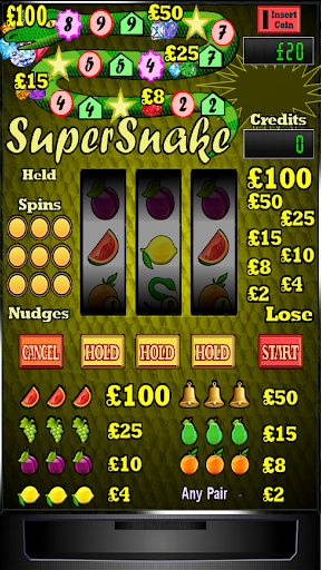 Super Snake Slot Machine Screenshot4