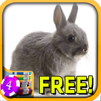 3D Bunny Rabbit Slots - Free APK