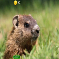 3D Groundhog Day Slots - FREE APK