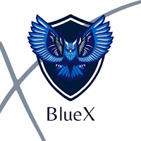 BlueX VPN