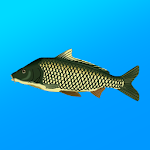 True Fishing APK