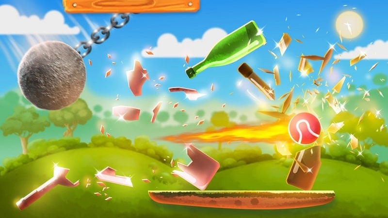 Bottle Shooting Game Screenshot3