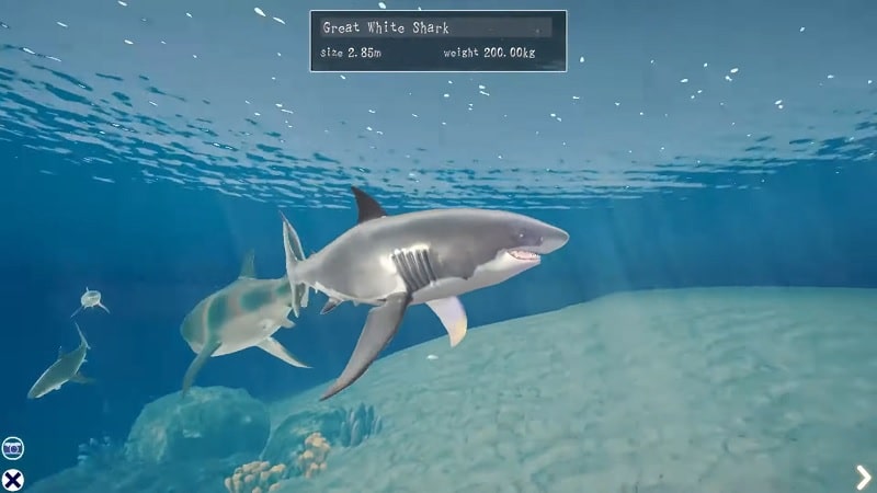 Shark Ocean Screenshot1