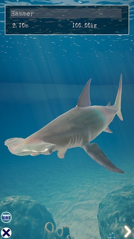 Shark Ocean Screenshot3