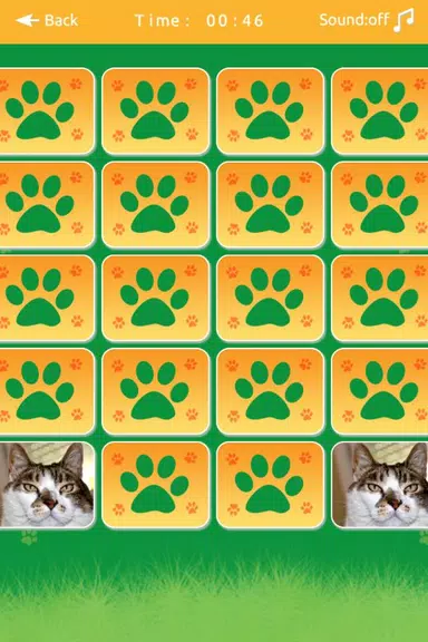 Cats Memory Match Game Screenshot4