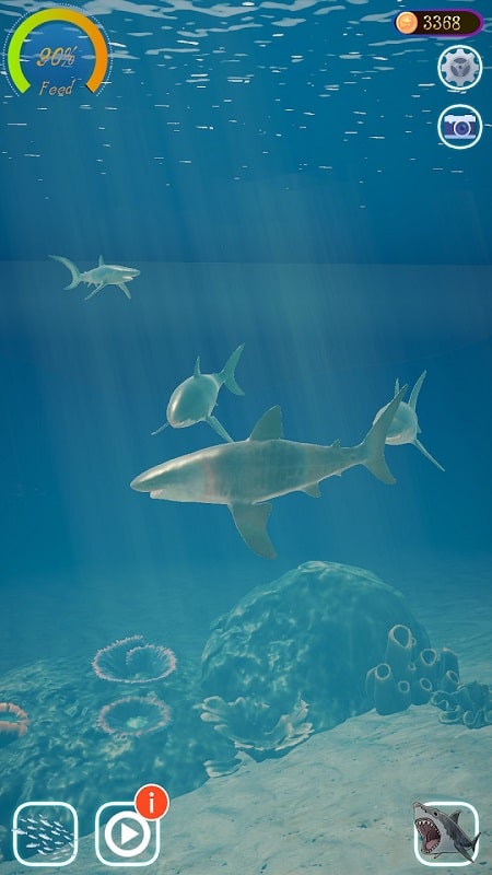 Shark Ocean Screenshot2