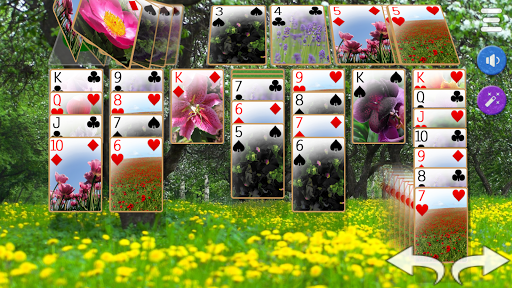 Solitaire 3D - Solitaire Game Screenshot1