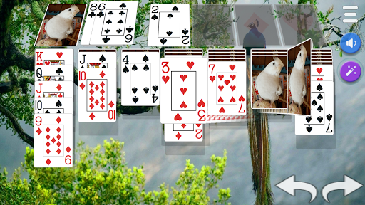 Solitaire 3D - Solitaire Game Screenshot2