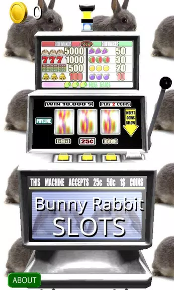 3D Bunny Rabbit Slots - Free Screenshot1