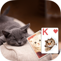 Solitaire Cute Cats Theme APK