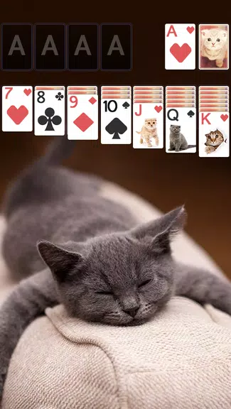 Solitaire Cute Cats Theme Screenshot1