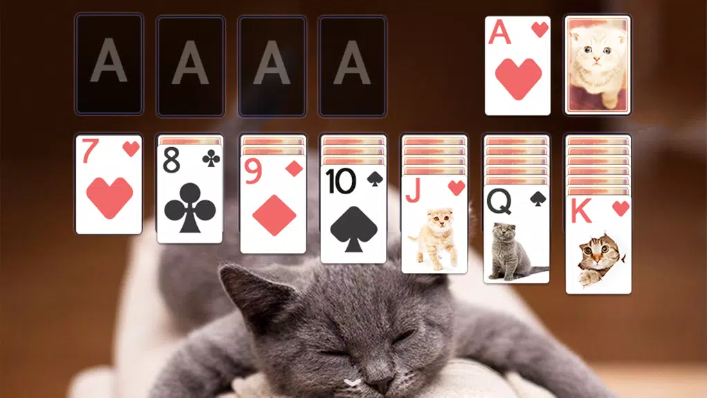 Solitaire Cute Cats Theme Screenshot3