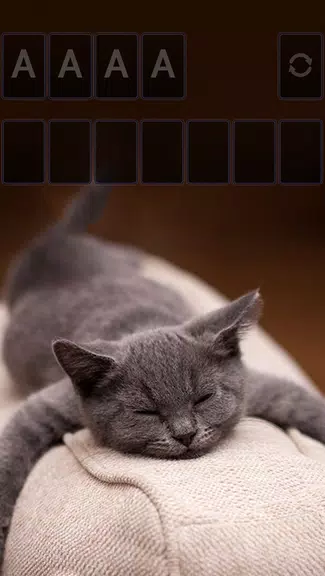 Solitaire Cute Cats Theme Screenshot2