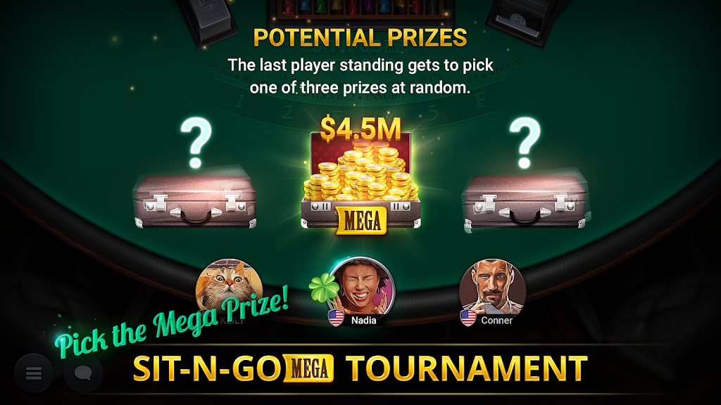 Blackjack Championship Screenshot2