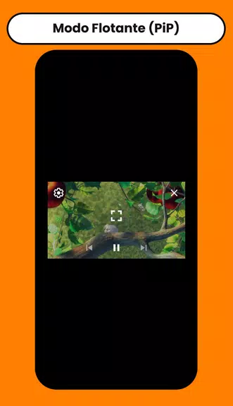 Inkaplay: Reproductor de Video Screenshot2