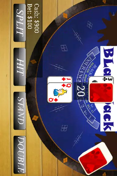 BlackJack 21 Casino Free Screenshot2