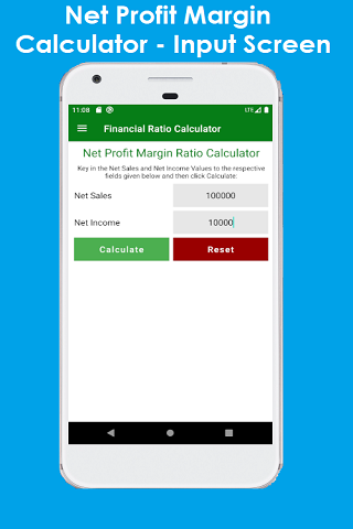 Financial Ratio Calculator Screenshot2