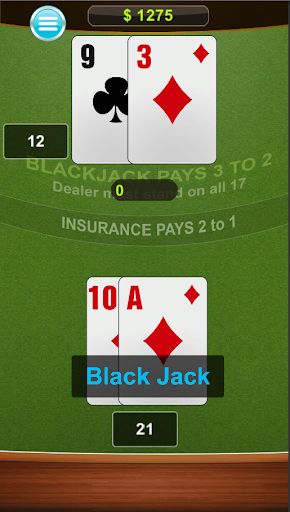 BlackJack 21 Free Card Offline Screenshot4