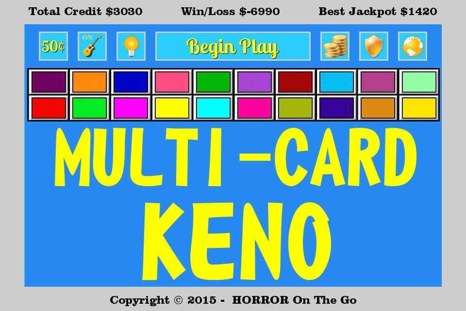 Multi-Card Keno Screenshot2