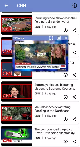 TV News - World News Player Screenshot4