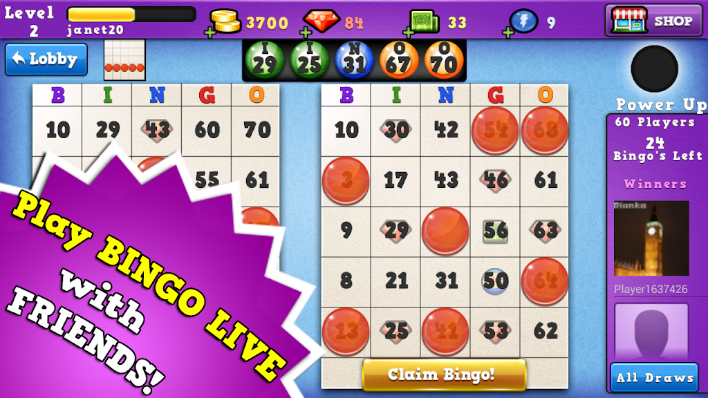 Bingo 2014 Screenshot2