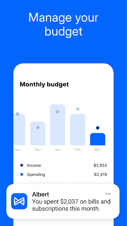 Albert: Budgeting and Banking Screenshot2