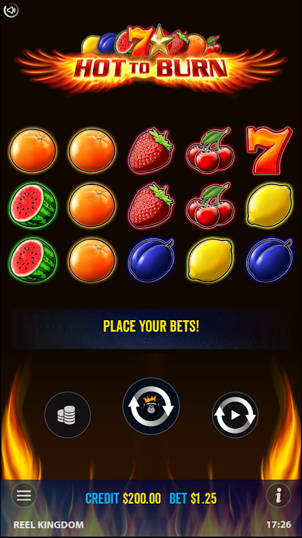 Hot to Burn - Slot Casino Game Screenshot1