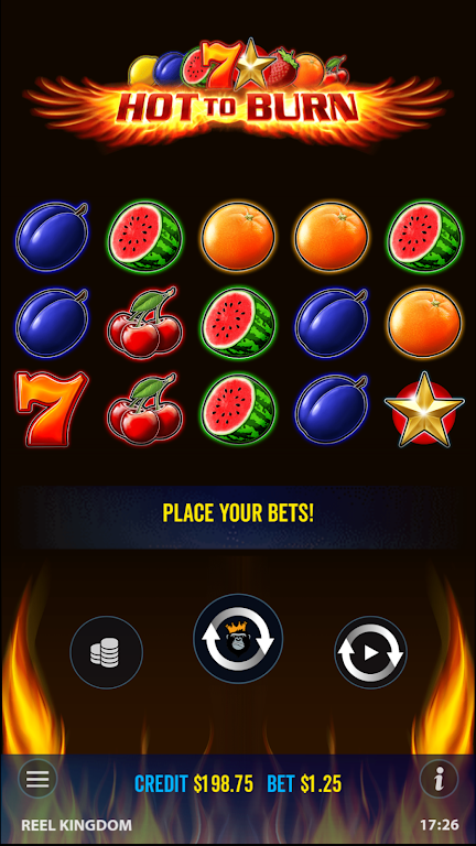 Hot to Burn - Slot Casino Game Screenshot2