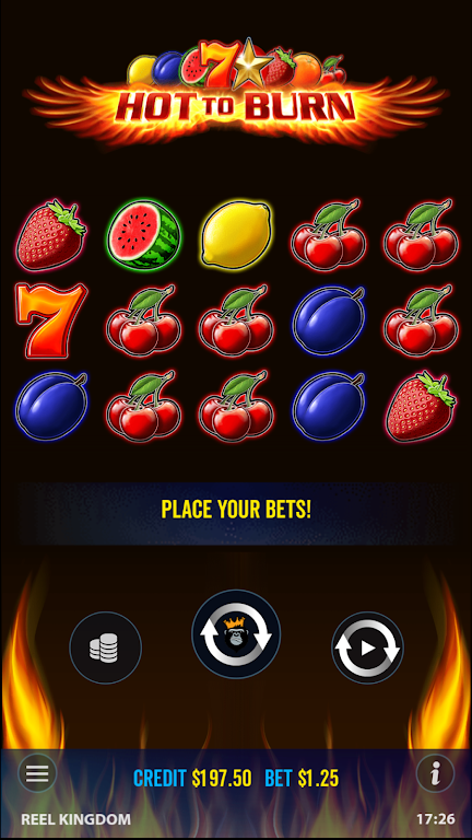 Hot to Burn - Slot Casino Game Screenshot3